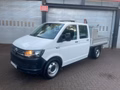 Daumennagel 5 - Volkswagen T6 Transporter Pritsche 4Motion Ladekran Doppelk
