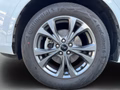 Daumennagel 9 - Ford Kuga Plug-In Hybrid ST-Line