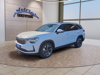 Skoda Kodiaq age.one-day registration Kaufen