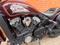 Daumennagel 6 - Indian Scout Classic Indian Satteltaschen. Inspektion & HU Neu
