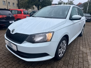 Skoda Fabia Gebrauchtwagen Kaufen