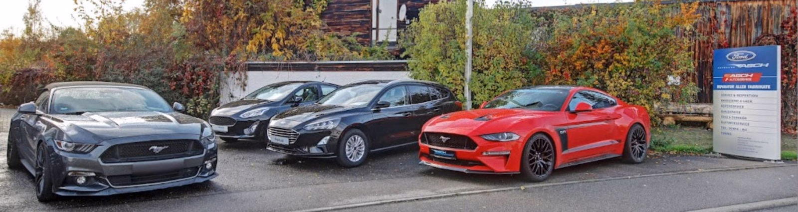 Ford Autohaus Roland Asch | Ford kaufen ➠ Tübingen, Stuttgart