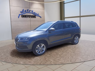 Skoda Karoq Gebrauchtwagen Kaufen