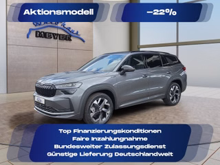 Skoda Kodiaq age.one-day registration Kaufen