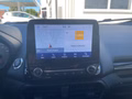 Daumennagel 9 - Ford EcoSport Titanium Anhängekupplung abnehmbar