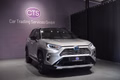 Daumennagel 2 - Toyota RAV 4 RAV4 Hybrid 4x4 Style Selection