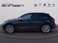 Daumennagel 10 - Audi SQ5 Matrix+AHK+Navi+B&O+Kamera