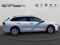 Daumennagel 5 - Volkswagen Golf Variant 1.0 Life eTSI DSG ACC+PDC+AppConnec