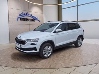 Skoda Karoq age.one-day registration Kaufen