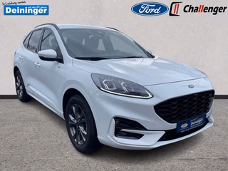 Ford Kuga Gebrauchtwagen Kaufen