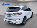 Daumennagel 5 - Ford Kuga Plug-In Hybrid ST-Line X