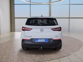 Daumennagel 4 - Opel Grandland X 1.2T 130PS AHK/Alu/Kamera/Winterp.