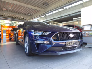 Ford Mustang age.one-day registration Kaufen