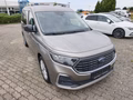 Daumennagel 5 - Ford Grand Tourneo Connect Titanium