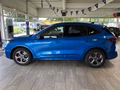 Daumennagel 2 - Ford Kuga ST-Line X Matrix + HeadUp + AHK schw.