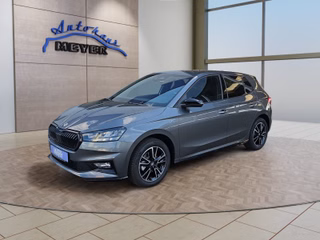Skoda Fabia age.one-day registration Kaufen