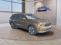 Daumennagel 7 - Skoda Kodiaq 2,0TDI DSG 4x4 AHK/4*J.Gar/Navi/el.Klappe/Kamera  **