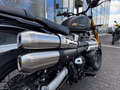 Daumennagel 12 - Triumph Scrambler 900 MY26 Sofort Verfügbar!