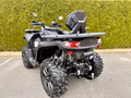 Daumennagel 3 - Segway Snarler 1000 AT10 One ABS T-Box, Heizung