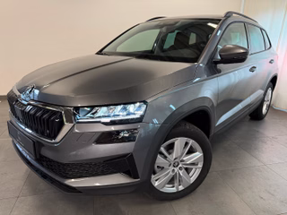 Skoda Karoq age.one-day registration Kaufen