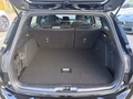 Daumennagel 7 - Ford Focus Turnier 1.5 EcoBoost ST-Line AHK/RFK/LED