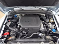 Daumennagel 20 - INEOS Grenadier Station Wagen 3.0 Diesel MY26 AHK