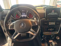 Daumennagel 25 - Mercedes-Benz G 63 AMG PANO/AHK/H&K
