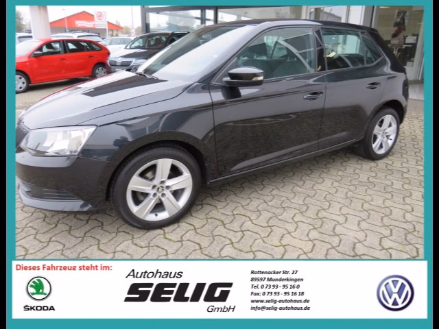 Skoda Fabia III 1.2 TSI 90 PS Cool Edition Enjoy