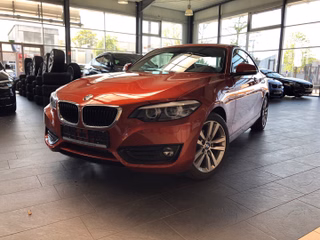 BMW 218 Gebrauchtwagen Kaufen