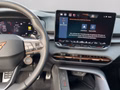 Daumennagel 17 - CUPRA Terramar 1.5 eTSI DSG Matrix+Navi+HuD+ACC+Kamera