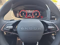 Daumennagel 23 - Skoda Karoq Sportline 1,5TSI DSG aAHK/ACC/Matrix/Navi/el.Klappe   **