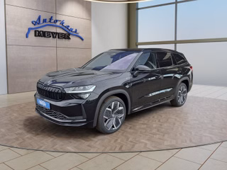 Skoda Kodiaq age.one-day registration Kaufen