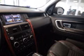 Daumennagel 28 - Land Rover Discovery Sport SE Auto hat Brandschäden nicht fahrbereit.