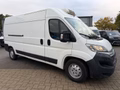 Daumennagel 6 - Citroën Jumper Kasten Kühler 35 L3H2/Thermo-King/