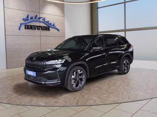Skoda Kodiaq age.one-day registration Kaufen