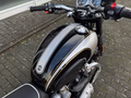 Daumennagel 12 - Triumph Bonneville T120 Icon Edition 1. Hd Griffheizung