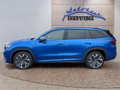 Daumennagel 2 - Skoda Kodiaq Sportline 1,5 TSI iV aAHK/Pano/Matrix/Navi  **