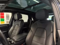 Daumennagel 14 - Porsche Cayenne E-Hybrid Platinum Edition