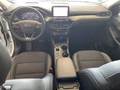 Daumennagel 13 - Ford Kuga Plug-In Hybrid Titanium X