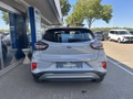 Daumennagel 7 - Ford Puma Titanium - Fahrer Assist.Paket - Winter Paket - Top