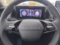 Daumennagel 22 - Skoda Kodiaq 2,0TSI DSG 4x4 aAHK/7-Sitzer/Matrix/Navi/el.Klappe