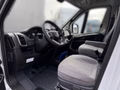 Daumennagel 6 - Carado pro CV 600 SUPER SALE/Aufstelldach/Navi RFK/D4