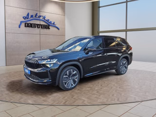 Skoda Kodiaq age.one-day registration Kaufen