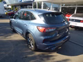 Daumennagel 5 - Ford Kuga Hybrid ST-Line aus 1. Hand