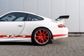 Daumennagel 42 - Porsche 911/996 GT3 RS  1st paint 1st tires NO over-revs