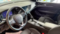 Daumennagel 15 - Opel Insignia B Grand Sport Innovation