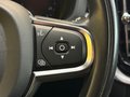 Daumennagel 19 - Volvo XC60 B4 Momentum Pro AWD XENIUM Mild-Hybrid