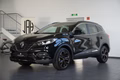 Daumennagel 3 - Renault Kadjar Black Edition  AUT NAV KEYLEES BOSE