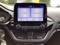 Daumennagel 9 - Ford Fiesta 1.0 EcoBoost Hybrid S&S TITANIUM Winter