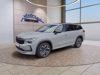Skoda Kodiaq age.one-day registration Kaufen